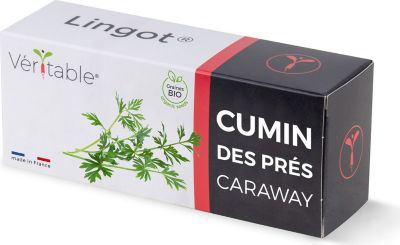 Recharge jardin d'intérieur VERITABLE Lingot Cumin des prés BIO