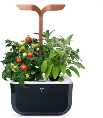 Jardin d'intérieur VERITABLE Exky Smart Copper / 4 lingots / 1 livre