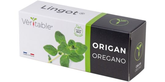 Recharge jardin d'intérieur VERITABLE Origan BIO
