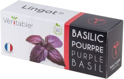 Recharge jardin d'intérieur VERITABLE Basilic Pourpre BIO