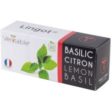 Recharge jardin d'intérieur VERITABLE Basilic Citron BIO