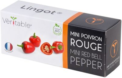 Recharge lingot® de fraise des bois rouge - pour potager Véritable®