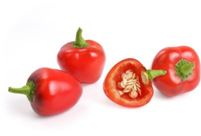 Recharge jardin d'intérieur VERITABLE Mini Poivrons