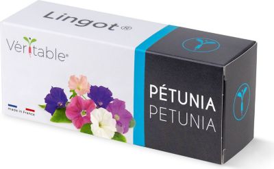 Recharge jardin d'intérieur VERITABLE Lingot Pétunia