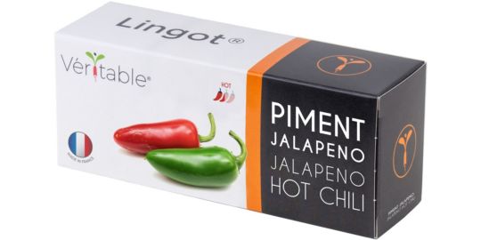 Recharge jardin d'intérieur VERITABLE piment Jalapeno
