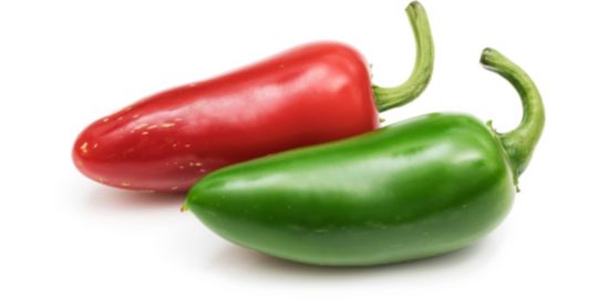 Recharge jardin d'intérieur VERITABLE piment Jalapeno