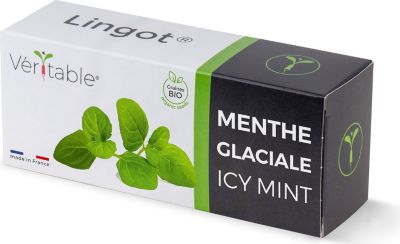Recharge jardin d'intérieur VERITABLE Lingot Menthe glaciale BIO