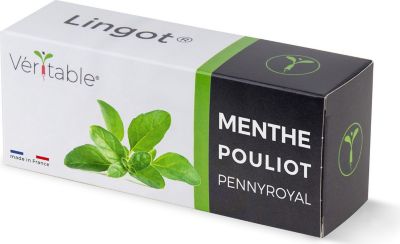 Recharge jardin d'intérieur VERITABLE Lingot Menthe pouliot