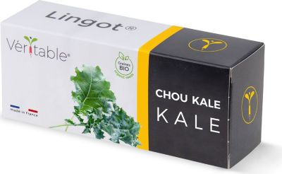 Recharge jardin d'intérieur VERITABLE Lingot Chou Kale BIO