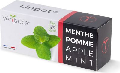 Recharge jardin d'intérieur VERITABLE Lingot Menthe pomme BIO