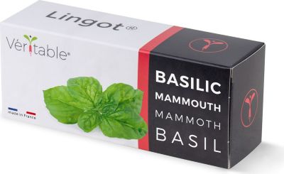 Recharge jardin d'intérieur VERITABLE Lingot Basilic Mammouth