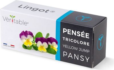 Recharge jardin d'intérieur VERITABLE Lingot Pensées multicolores