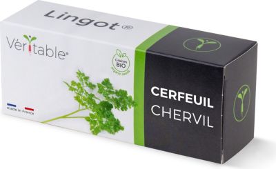 Recharge jardin d'intérieur VERITABLE Lingot Cerfeuil BIO