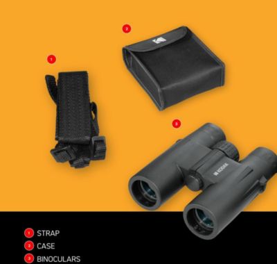 Jumelles KODAK KODAK Jumelles BCS600 12x32 - Jumelles C