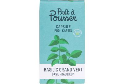 Recharge jardin d'intérieur PRET A POUSSER BASILIC GRAND VERT