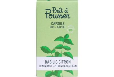 Recharge jardin d'intérieur PRET A POUSSER BASILIC CITRON