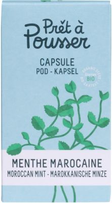 Recharge jardin d'intérieur PRET A POUSSER MENTHE MAROCAINE