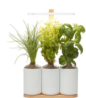 Jardin d'intérieur PRET A POUSSER LILO connect