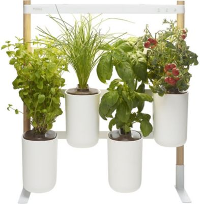 Jardin d'intérieur PRET A POUSSER MODULO 2