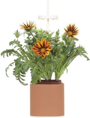 Jardin d'intérieur PRET A POUSSER Nano terracotta