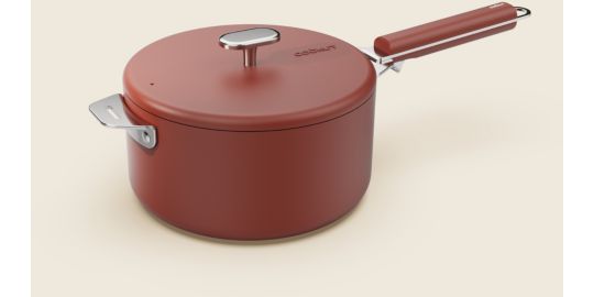 Couvercle anti-projection COOKUT LA MERVEILLEUSE  INOX 20CM - PASSION