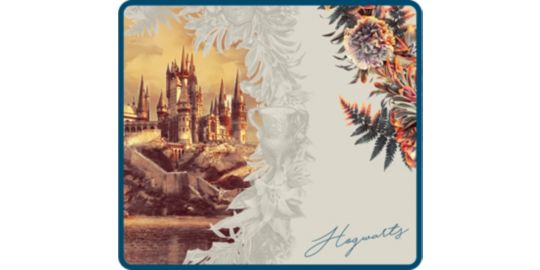 Tapis de souris LEXIP X WARNER - HARRY POTTER - FLORAL TAPIS L