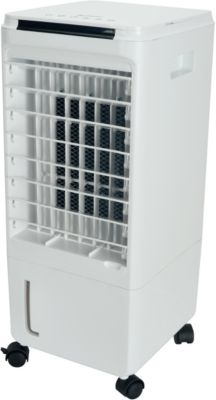 Ventilateur Delonghi rafraîchisseur d'air EV250.BK NOIR