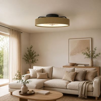 Ventilateur plafonnier THOMSON Ventilateur plafonnier avec lumière ALMA