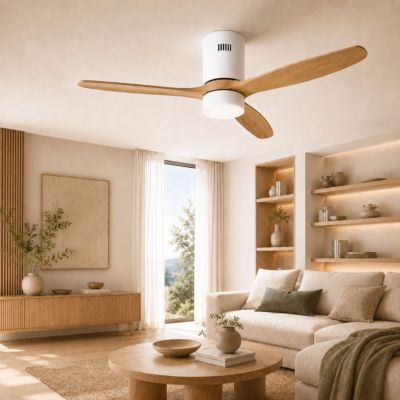 Ventilateur plafonnier THOMSON Ventilateur plafonnier avec lumière NOUR