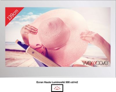 TV LED WEMOOVE miroir 55'' étanche avec encastrement