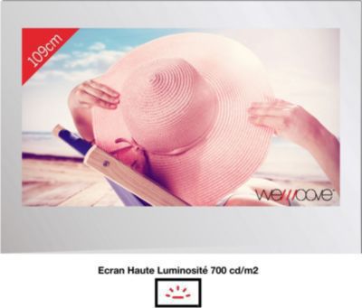TV LED WEMOOVE miroir 43'' étanche avec encastrement