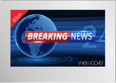 TV LED WEMOOVE miroir 23,8'' étanche encastrement