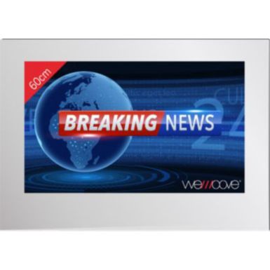 TV LED WEMOOVE TV miroir 23,8'' étanche encastrement