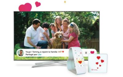 Trans. Image SUNDAY Box Families