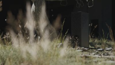 Voir la vidéo pour Appareil anti moustique WILIV piège Willo Métal