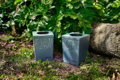 Appareil anti moustique WILIV de deux pièges anti-ponte