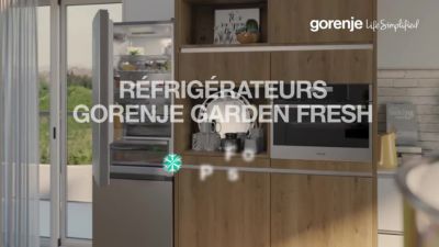 Voir la vidéo pour GORENJE NRK62CA2XL4