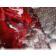 Location Lave linge séchant hublot Miele WTD 160 WCS