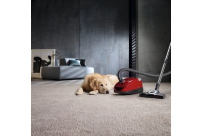 Aspirateur traineau Miele