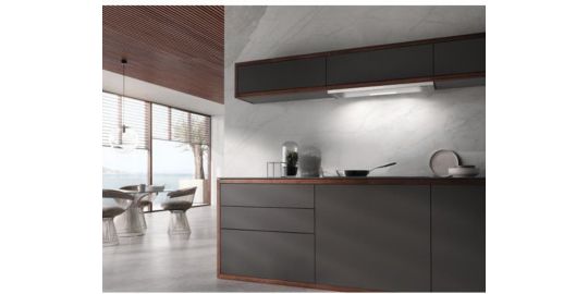 Hotte escamotable MIELE DAS 4920