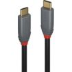 Câble USB LINDY 3.1 type C vers C 5A