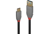 Câble USB LINDY 3.1 type A vers USB type C 10Gbit/s