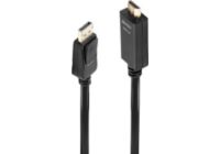 Câble DisplayPort LINDY vers HDMI 10.2Gbps