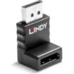 LINDY Adaptateur DisplayPort 1.2 coudé vers le