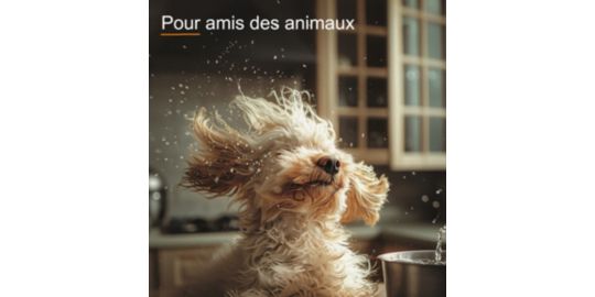 Aspirateur laveur THOMAS Pet & Family Aqua+ (788568)