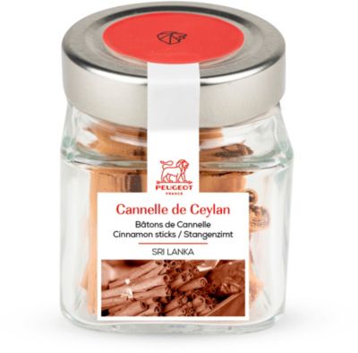 Epice PEUGEOT batons de cannelle