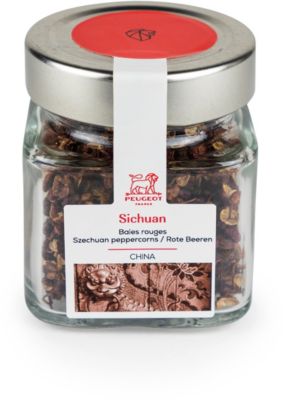 Epice PEUGEOT Sichuan china cube epice