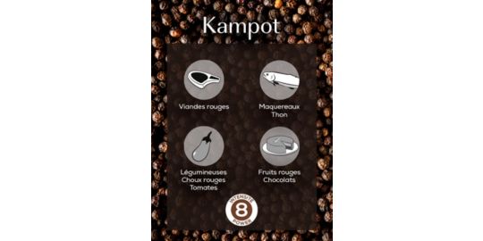 Poivre PEUGEOT de 3 sachets de 20g Kampot poivre noir
