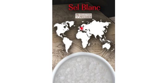 Sel PEUGEOT Sel Blanc Sec 350g