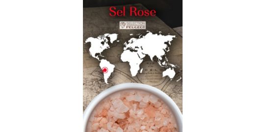 Sel PEUGEOT Sel Rose des Andes 350g